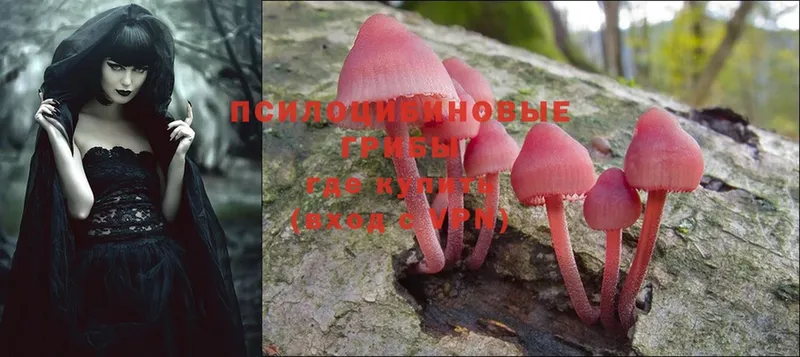 Псилоцибиновые грибы MAGIC MUSHROOMS  Гаврилов Посад 